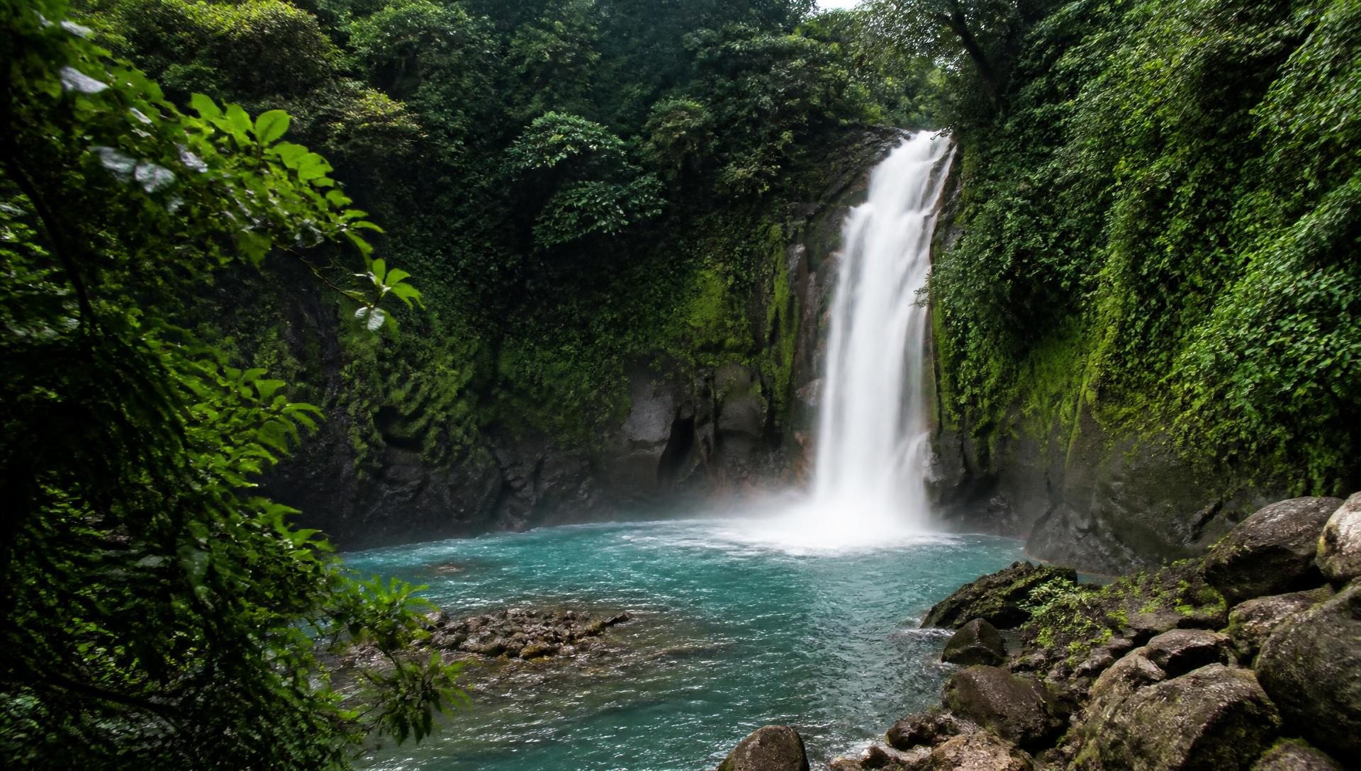 Waterfall in the rainforest